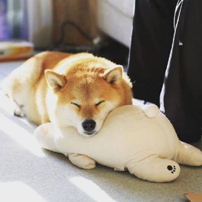 单身狗图片头像