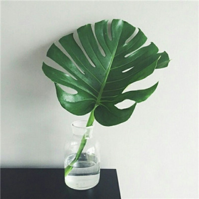 风景头像微信好看 5