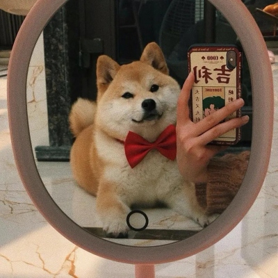 小狗头像可爱