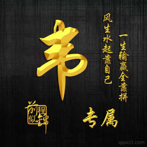 我姓欧专属头像 7