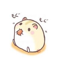 动物头像图片大全 5