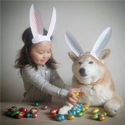 柴犬可爱头像 3