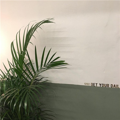 微信头像植物大战僵尸 4