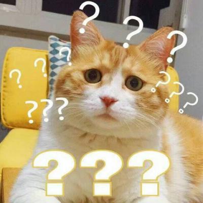 搞怪头像猫咪高清图片 8