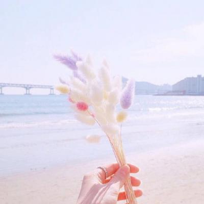 小清新头像风景 2