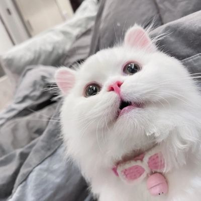 旺财旺人山水画微信头像 4
