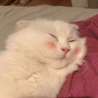 100个可爱图片头像 4