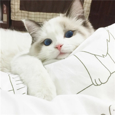 聚财招财的山水画头像 9