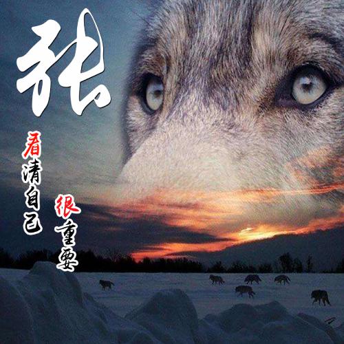 高端质感白底头像好看 5