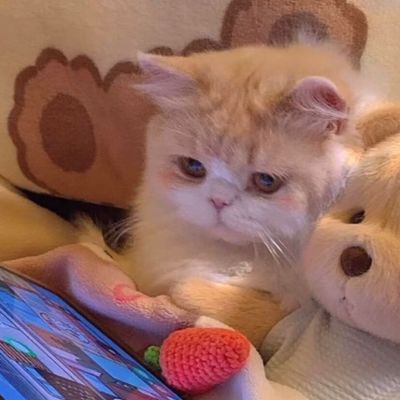 免费的情侣头像 1