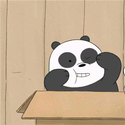 属猪微信头像用什么比较好