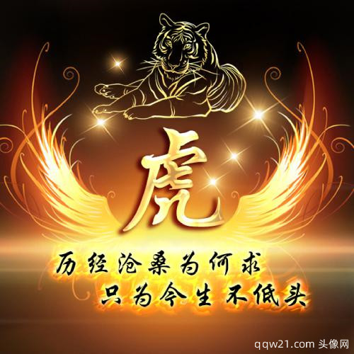 姓氏微信头像图片大全田 2