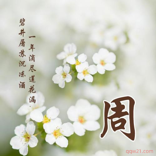 张字姓氏微信头像2023 9