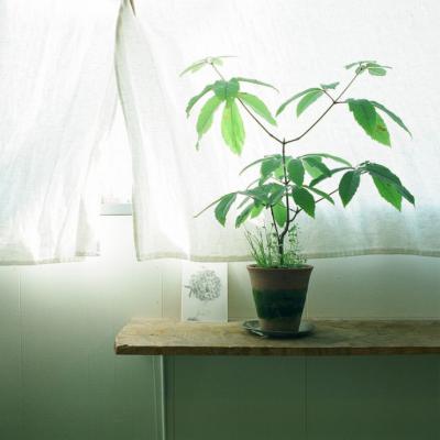 清新文艺范微信头像