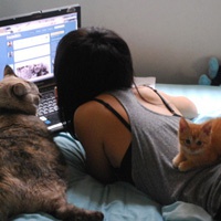 女生猫咪头像