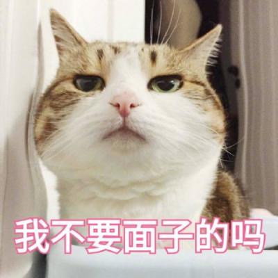 汤姆猫头像带文字 8