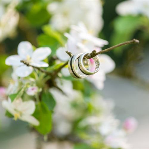 用鲜花做微信头像 8