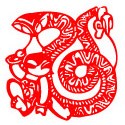 猪头的图片大全大图 头像 5