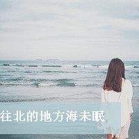 网名高冷安静女生