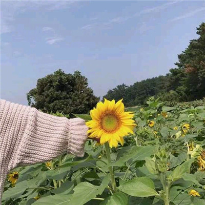 征途手游网名