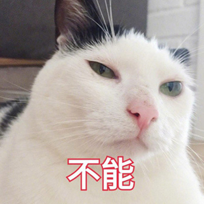 搞怪头像猫咪高清图片 3