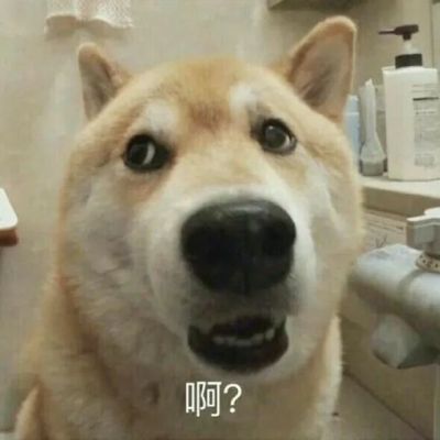 沙雕头像女生搞笑 8