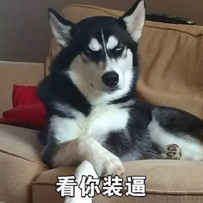 头像狗狗搞怪 2