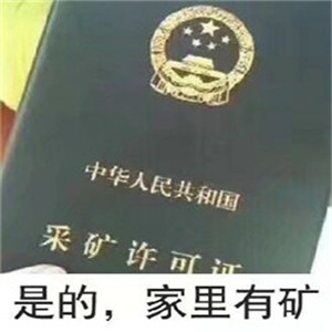 开朗的网友头像熊猫头扶墙 2