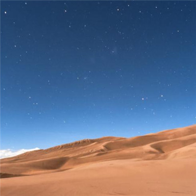 头像风景花草大全 7