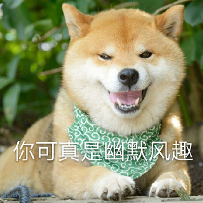 头像狗狗搞怪 1