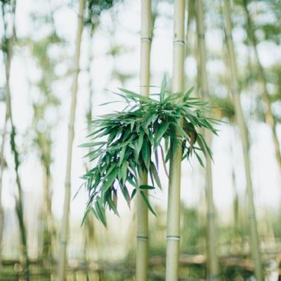 早上日出风景头像图片 4