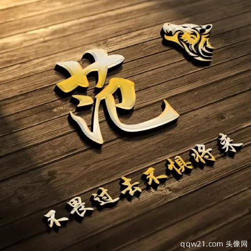 2023新年姓氏头像立体 5