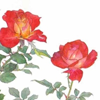 花子君头像 5