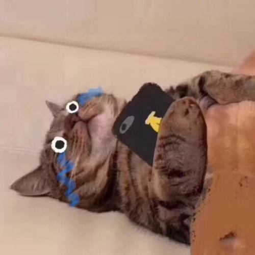 2b搞笑头像 2