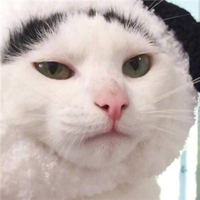 三笠情侣头像 7