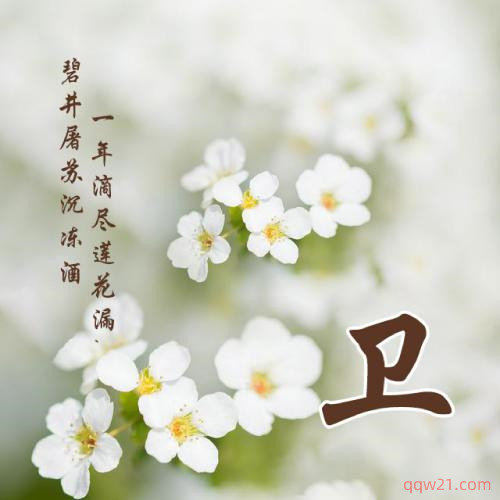 新年姓氏头像2023女生刘 1