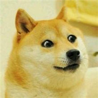 刘耀文同款头像柴犬 3