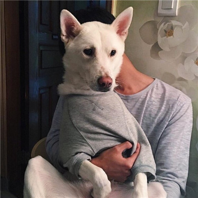 狗狗头像男生专用 4