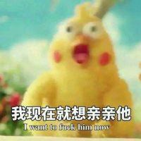 表情包头像可爱 5