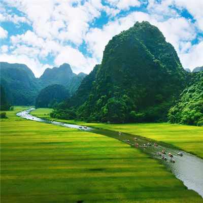 好运锦鲤微信头像 1
