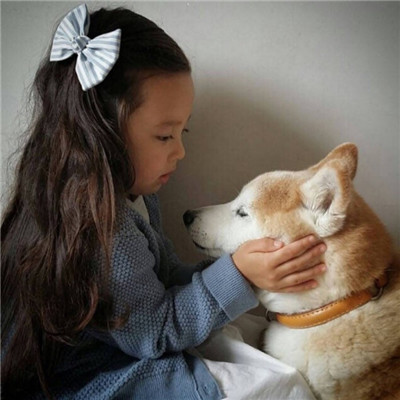 柴犬可爱头像 8