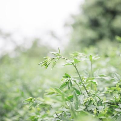 高清风景头像图片微信 2