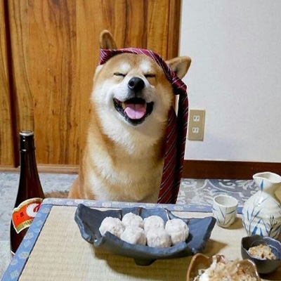 柴犬头像可爱图片 8
