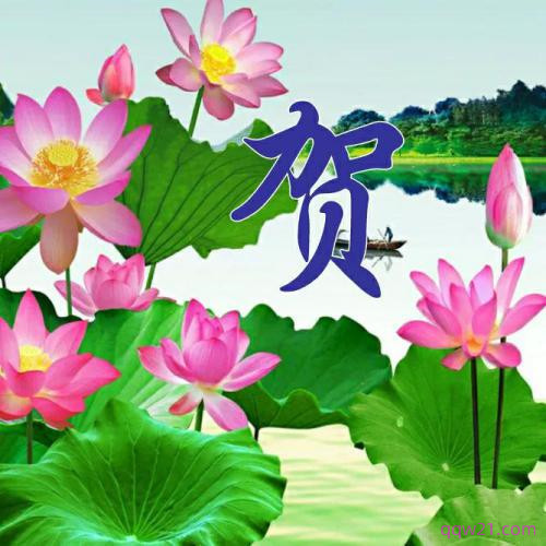 刘姓氏头像 微信号 8