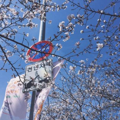 2023年最新微信好运头像风景唯美 4