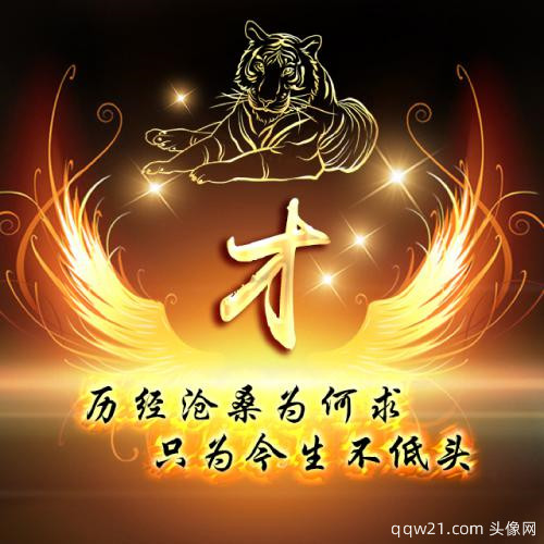 鼠年姓氏微信头像翟 6