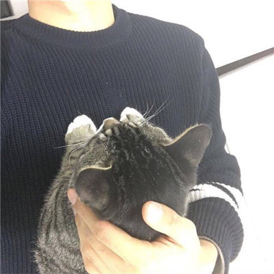 耀扬头像高清 2
