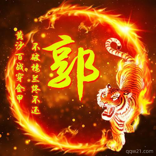 霸气头像国旗姓氏图像 1