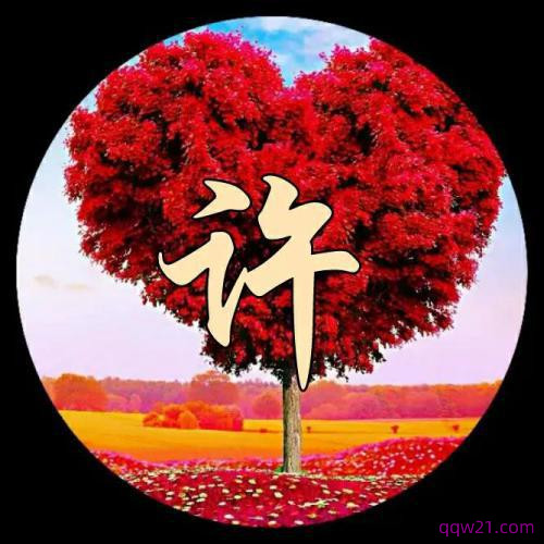 刘2023姓氏专属头像 5