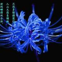 2023新款头像风景花 1